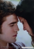 /gallery/the cullens II.jpg